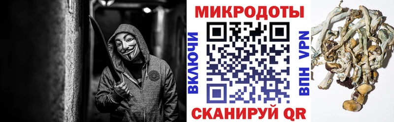 Галлюциногенные грибы Magic Shrooms  закладки  Ковдор 